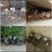 दिया तले अंधेरा,,, रीठी मुख्यालय में ही फैला गंदगी का आलम,,,
