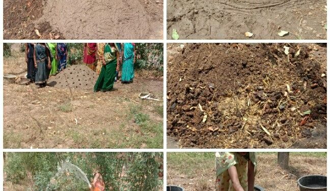 कृषि सखी ने भू नाडेप निर्माण का प्रायोगिक प्रशिक्षण दिया