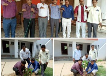 विश्व पर्यावरण दिवस सरदार पटेल इण्टर कॉलेज कचाटीपुर कन्नौज में आज विश्व पर्यावरण दिवस