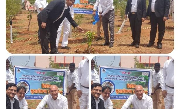 विश्व पर्यावरण दिवस के अवसर पर जिला न्यायालय परिसर कटनी में किया गया वृक्षारोपण