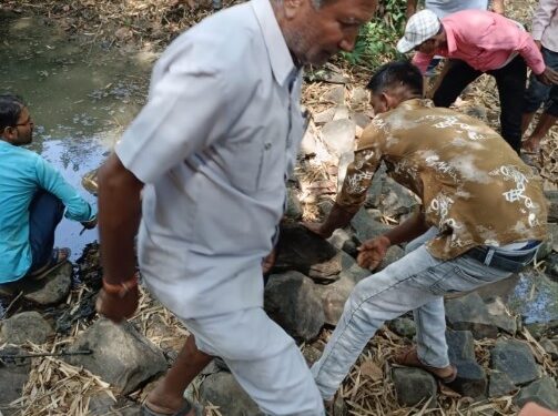 जिला विधिक सेवा प्राधिकरण की टीम ने विलंगवा नदी कटनी की साफ- सफाई कर स्वच्छता का दिया संदेश