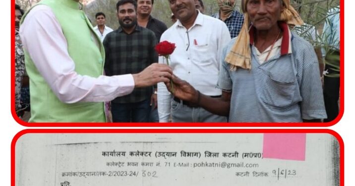 जिले आंवला की पैदावार को प्रोत्साहित करने निरंतर प्रयत्नशील हैं कलेक्टर