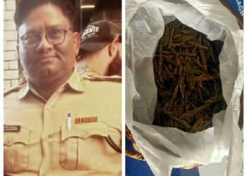 गांजा के साथ एक युवक गिरफ्तार