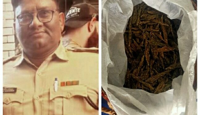गांजा के साथ एक युवक गिरफ्तार