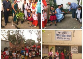 जन समस्या निवारण संस्थान ने वृक्षारोपण किया
