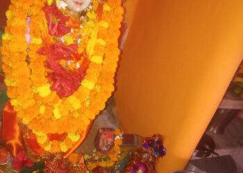प्राचीन कोट मां भगवती देवी जी का भव्य श्रृंगार,स्थापना महोत्सव मंदिर के पुजारी/प्रबंधक विनय पाठक के सानिध्य में संपन्न