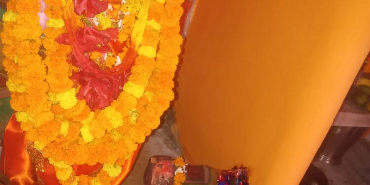 प्राचीन कोट मां भगवती देवी जी का भव्य श्रृंगार,स्थापना महोत्सव मंदिर के पुजारी/प्रबंधक विनय पाठक के सानिध्य में संपन्न