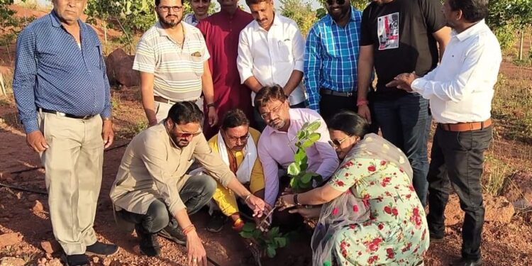 वृक्ष की कहानी है वह कभी देना बंद नही करता: शशिशेखर भारद्वाज