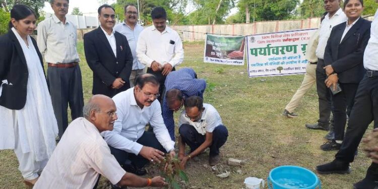 जिला न्यायालय परिसर नर्मदापुरम में किया गया पौधरोपण