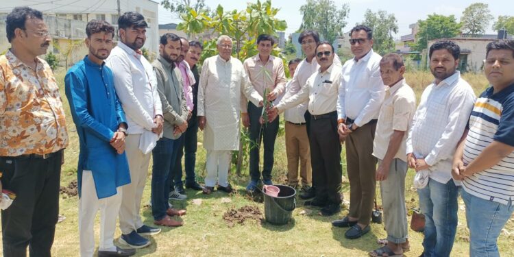 विश्व पर्यावरण दिवस के अवसर पर विधायक ने किया पौधरोपण