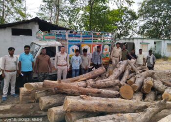 वन विभाग स्टाफ द्वारा रात्रि गश्त में पकड़े लकड़ी चोरों को