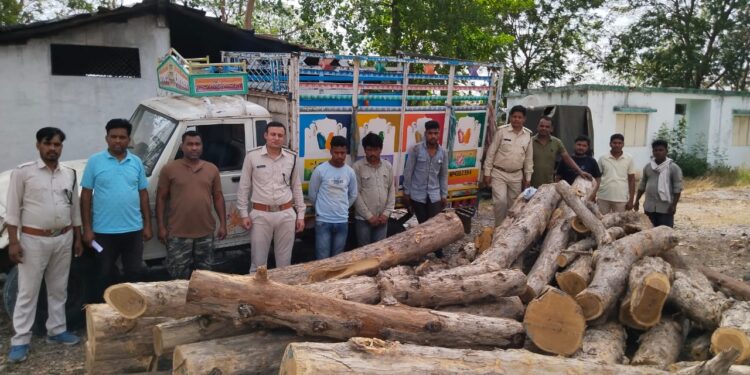 वन विभाग स्टाफ द्वारा रात्रि गश्त में पकड़े लकड़ी चोरों को