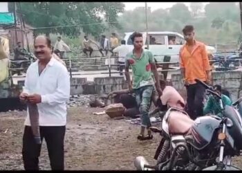 रहटगांव क्षेत्र में अवैध तरीके से बिक रही है मछलियां