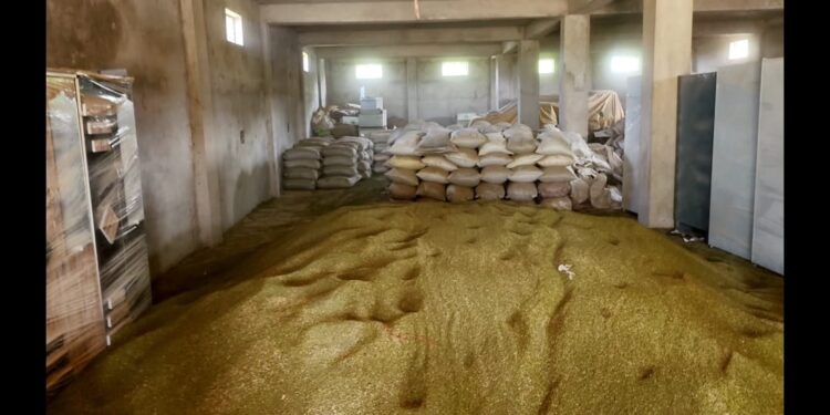 मूंग की रिसाइकिलिंग करते मंडी में मिली 375 क्विंटल अवैध भंडारित मूंग  जांच कार्यवाही प्रक्रियाधीन