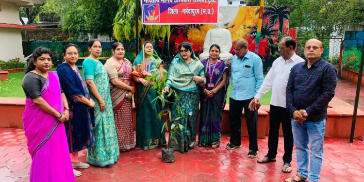 वन महोत्सव सप्ताह के चलते जिला अध्यक्ष नीरजा फौजदार आदर्श महिला क्लब एंव मानव अधिकार सहकार ट्रस्ट के नेतृत्व में पौधे भेट कियें