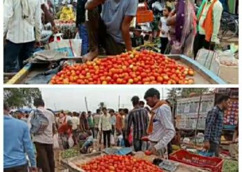 गरीब आदमी की पहुंच से दूर, बढे टमाटर के भाव,,