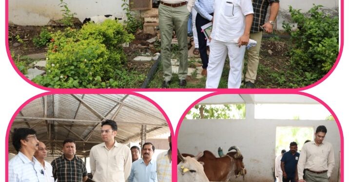 कलेक्टर अविप्रसाद ने बुधवार को जिले के ग्राम कलवारा खुर्द स्थित “दयोदय पशु सेवा केंद्र” का किया निरीक्षण