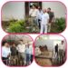 कलेक्टर अविप्रसाद ने बुधवार को जिले के ग्राम कलवारा खुर्द स्थित “दयोदय पशु सेवा केंद्र” का किया निरीक्षण