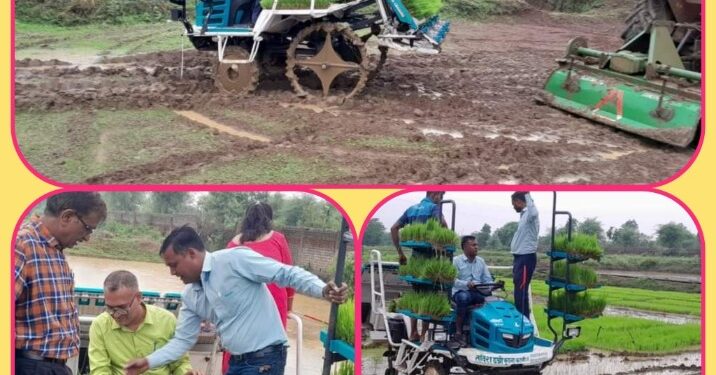 उन्नत कृषि यंत्र राईड ऑन राईस ट्रांसप्लांटर मशीन से की गई धान की रोपाई