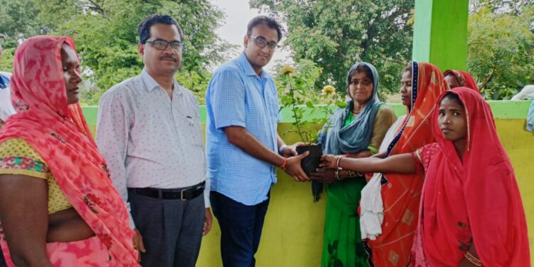 रोहनिया की नर्सरी में दुर्गा स्व सहायता समूह की महिलाओं से किया संवाद जिला पंचायत सीईओ गेमावत