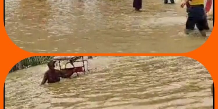 देखिऐ वीडियों दिल्ली पानी पानी लगातार पानी बढ़ रहा
