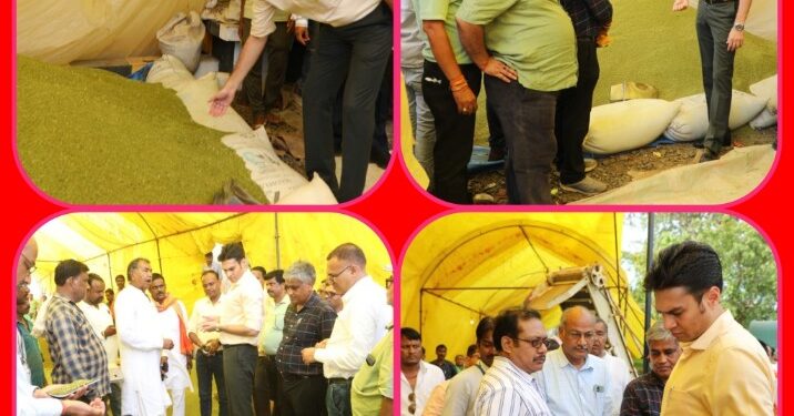 कलेक्टर अवि प्रसाद ने झिन्ना पिपरिया मूंग उपार्जन केन्द्र का किया निरीक्षण  अन्य उपार्जन केन्द्रों मंे करावें ग्रेडर की व्यवस्था