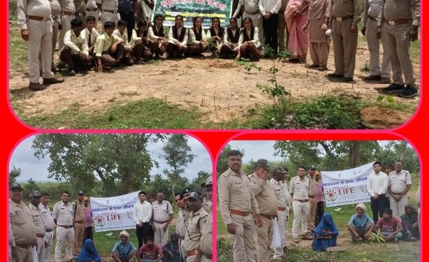 बीट विजयराघवगढ़ अंतर्गत ग्राम बंजारी वन परिक्षेत्र में रोपे गए 1 हजार पौधे  अधिकारी, जनप्रतिनिधियों एवं छात्रों की उपस्थिति में वृक्षारोपण कार्यक्रम संपन्न