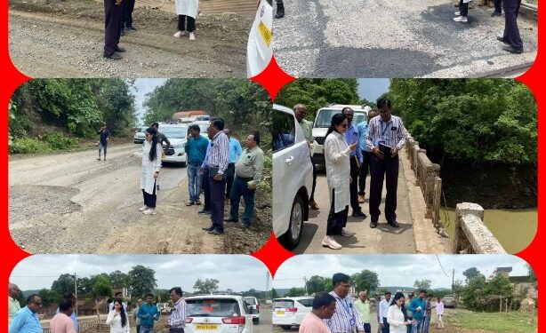 कलेक्टर ने किया फूलसागर से बरेला मार्ग में किए जा रहे सुधार कार्यों का निरीक्षण