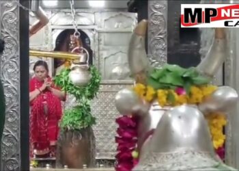 वन विभाग की गिरिफ्त से भागने मैं नाकाम रहे अपराधियों के मंसूबे*