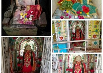 जगत जननी मां हरसिद्धि देवी जी की महिमा अपरम्पार*
