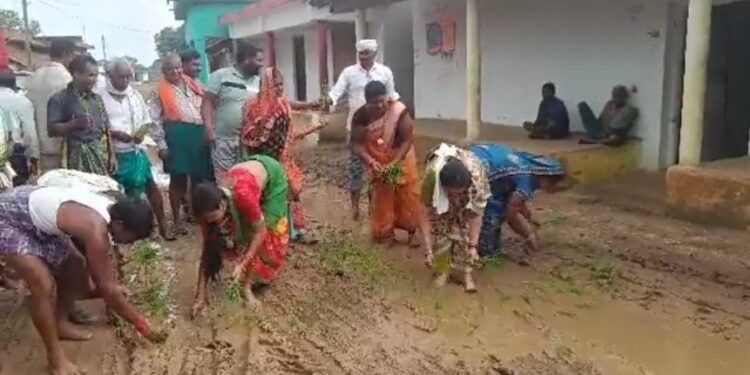 जनता परेशान गली चलनें लायक नही तो थरहा रोपाई कर दी वायरल VIDEO