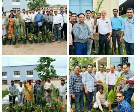 जिला शिक्षा अधिकारी कार्यालय में हुआ पौधा रोपण*