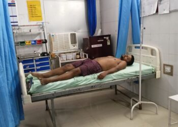 बंदरों ने किया पत्रकार को गंभीर रूप से जख्मी