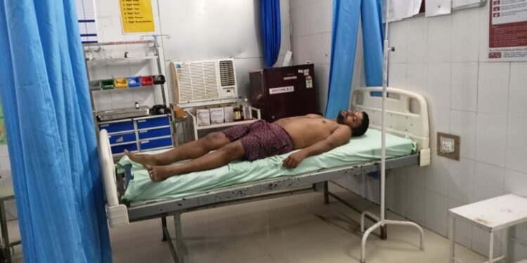 बंदरों ने किया पत्रकार को गंभीर रूप से जख्मी