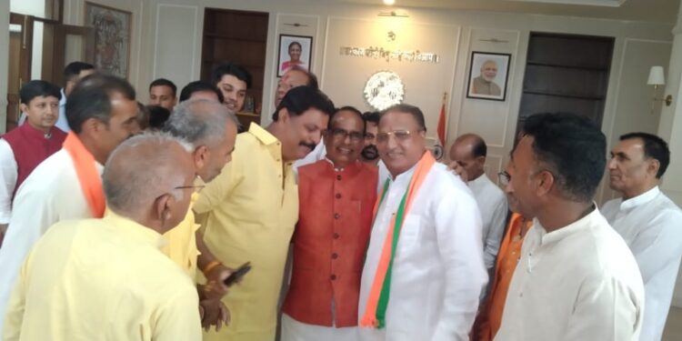 भाजपा के जिला अध्यक्ष के नेतृत्व में आलोट के भाजपा नेताओं ने भोपाल पहुंचकर मुख्यमंत्री से मुलाकात की