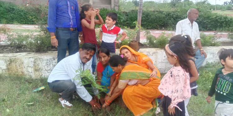गुजराती बाज खेड़ावाल ब्राह्मण समाज ने किया पौधरोपण