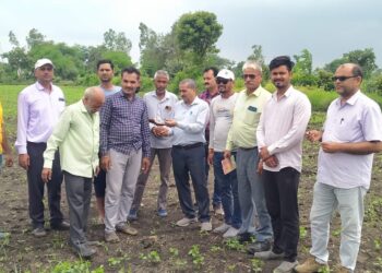 बोनी के कुछ दिन बाद सोयाबीन फसल खराब होने लगी…l  कृषि अधिकारी श्री सोलिया ने वैज्ञानिकों के साथ फसल का किया निरीक्षण …l