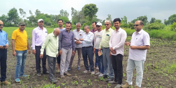 बोनी के कुछ दिन बाद सोयाबीन फसल खराब होने लगी…l कृषि अधिकारी श्री सोलिया ने वैज्ञानिकों के साथ फसल का किया निरीक्षण …l