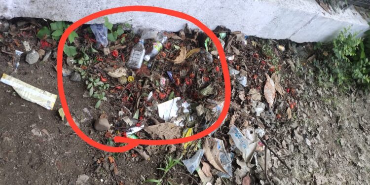 नगर पालिका का लाखों रुपए का गुरु गोविंद सिंह पार्क बना असामाजिक तत्वों का अड्डा,पार्क की डिजाइनदार वॉल को भी तोड़ा,पेड़ पौधों को करते हैं नुकसान,शराबियों का बना अड्डा, रहवासी भी शिकायत करने से है डरते