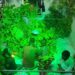 आलोट के अनादि कल्पेश्वर महादेव मंदिर पर लगी रही भक्तों की भीड़
