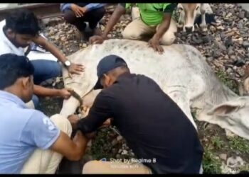 खुरई बजरंग दल को सूचना मिलने पर दिखाई मानवता*