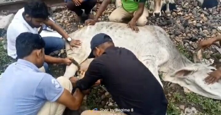 खुरई बजरंग दल को सूचना मिलने पर दिखाई मानवता*