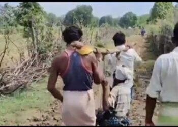 कटनी के ढीमरखेड़ा तहसील के ग्राम करौंदी मे दलदल में तब्दील मार्ग पर बीमार को डोली बनाकर अस्पताल ले जाने का वीडियो आया सामने