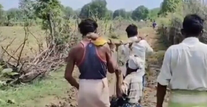 कटनी के ढीमरखेड़ा तहसील के ग्राम करौंदी मे दलदल में तब्दील मार्ग पर बीमार को डोली बनाकर अस्पताल ले जाने का वीडियो आया सामने