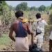 कटनी के ढीमरखेड़ा तहसील के ग्राम करौंदी मे दलदल में तब्दील मार्ग पर बीमार को डोली बनाकर अस्पताल ले जाने का वीडियो आया सामने