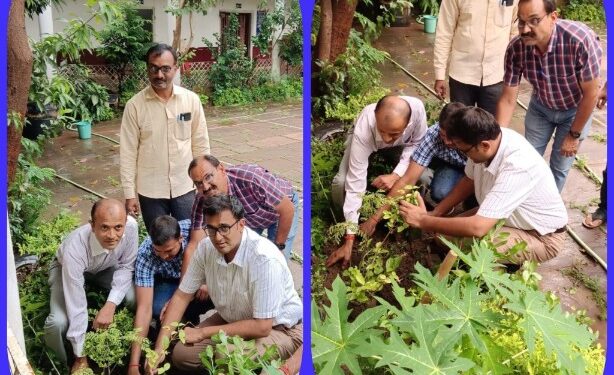 पर्यावरण संरक्षण की दृष्टि से अंकुर अभियान के तहत जिला पंचायत के सीईओ शिशिर गेमावत ने जिला पंचायत परिसर में किया पौधारोपण