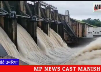 देखिऐ VIDEO संजय गांधी ताप विद्युत केंद्र के जोहिला डैम के चार गेट खोले गए, 2-2 मीटर खोलकर छोड़ा गया पानी।