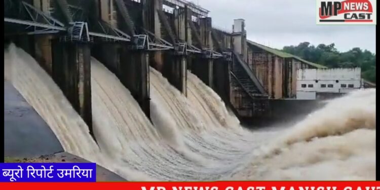 देखिऐ VIDEO संजय गांधी ताप विद्युत केंद्र के जोहिला डैम के चार गेट खोले गए, 2-2 मीटर खोलकर छोड़ा गया पानी।