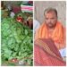 सिलौंडी शनि मंदिर में रुदाभिषेक हुआ