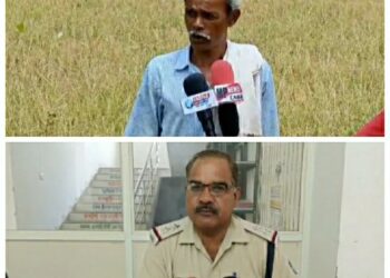 कीटनाशक दवाई डालकर फसल को किया सफाचट,,